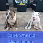 Lejlighed Casa Azul Mountain Retreat Vega de San Mateo